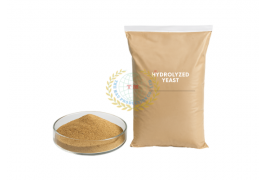 Chiết Xuất Nấm Men Thủy Phân