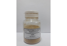 Saccharomyces Cerevisiae Extractive (JQ50)