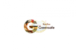 GREENSAFE