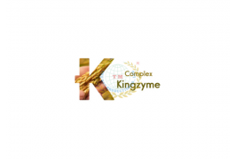 KINGZYME